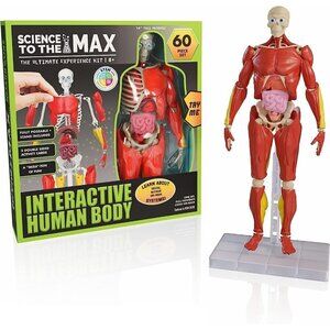 14” Tall 60 Piece Fully Poseabl Removable Muscles Organs Interactive Hum…